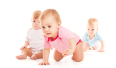 WordPress Starter Tarif